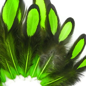 Laced Feathers, 1 Dozen Lime Green Whiting Farms Laced Hen BLW Saddle Feathers Craft Fly Tying Supply : 378 image 2