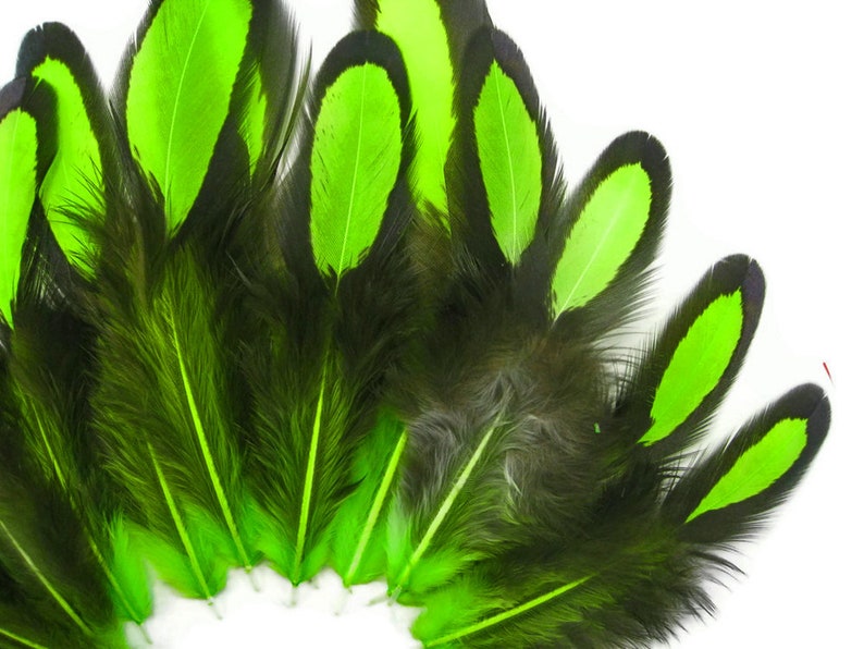 Laced Feathers, 1 Dozen Lime Green Whiting Farms Laced Hen BLW Saddle Feathers Craft Fly Tying Supply : 378 image 2