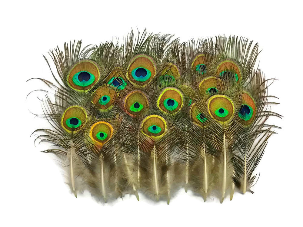 Peacock Small Feathers original peacock feathers at Rs 350/piece, Peacock  Tails in Jaipur