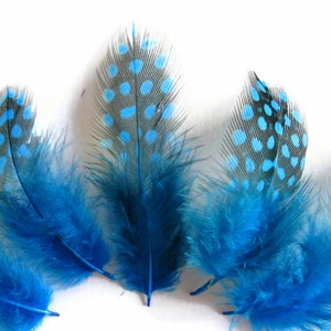 Polka Dot Feathers, 1 Pack Turquoise Blue Guinea Hen Polka Dot Plumage ...