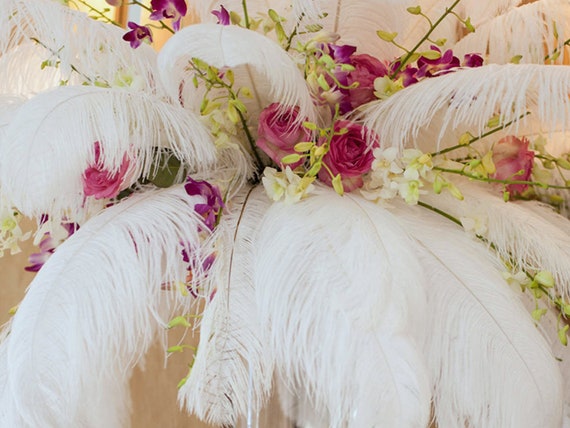 Bulk feathers for centerpieces discount