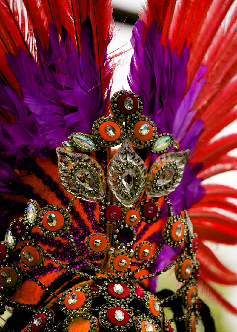 Feather Supply 50 Pieces 2022 Red Bleached and Dyed Etsy