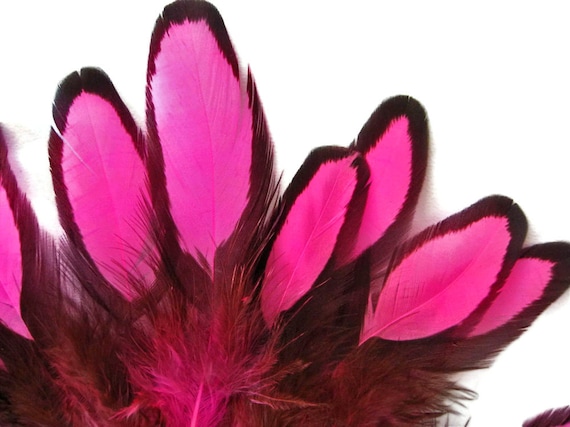 Hot Pink Laced Hen Saddle Feathers for Crafts Pink Black Craft Feathers  x12PCS