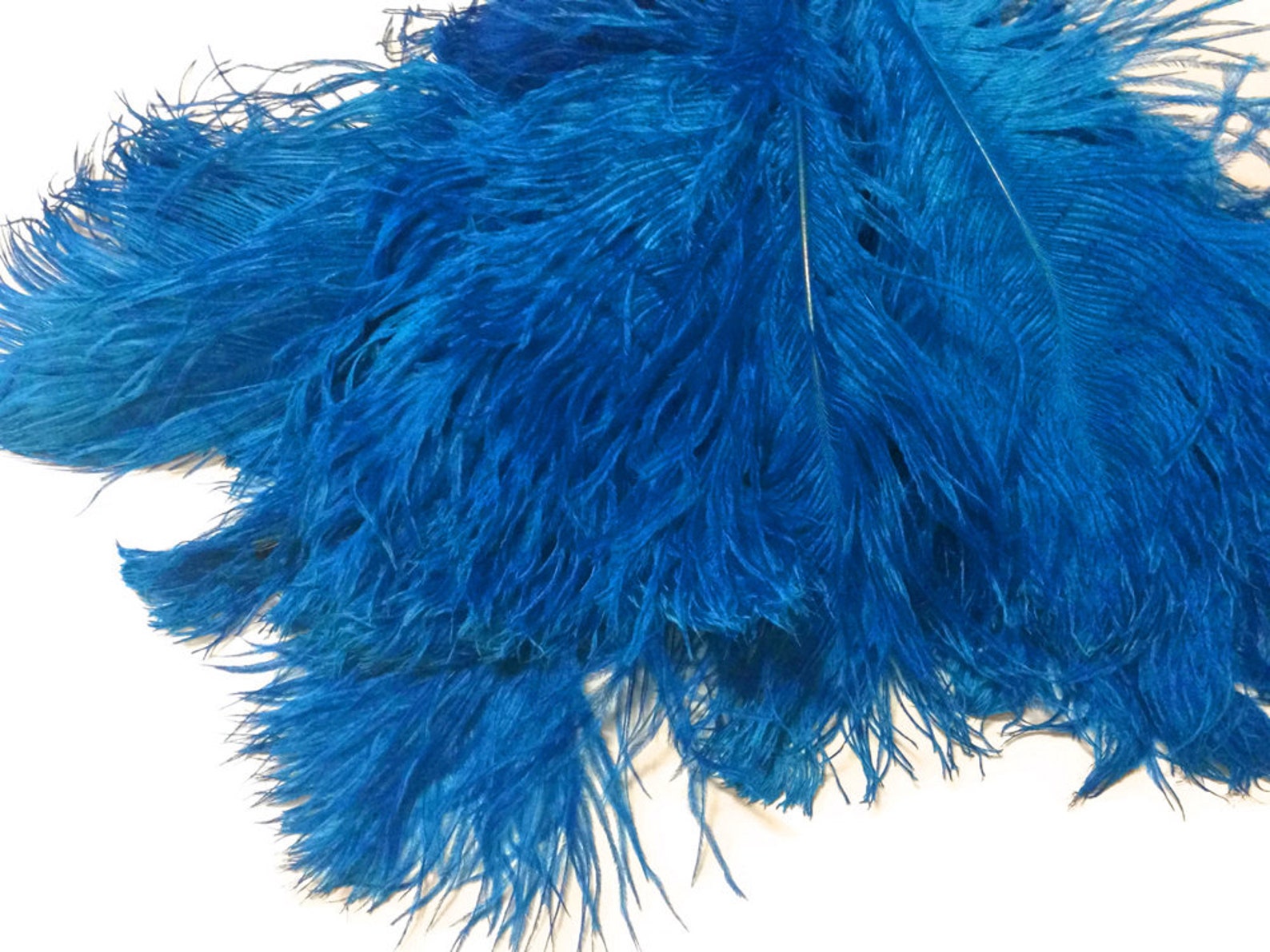 Ostrich Plumes 1/2 Lb 1216 Turquoise Blue Ostrich Etsy