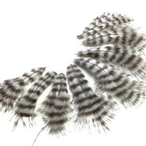 Small Feathers, 1 Dozen Natural Grizzly Rooster Chickabou Whiting Farm Superbou Fluff Feathers : 641 image 2