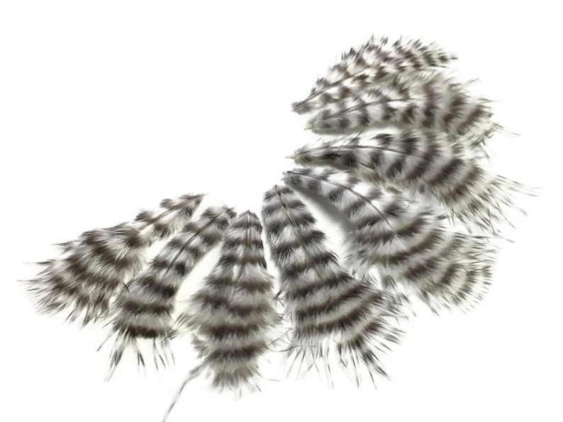 Small Feathers, 1 Dozen Natural Grizzly Rooster Chickabou Whiting Farm Superbou Fluff Feathers : 641 image 2