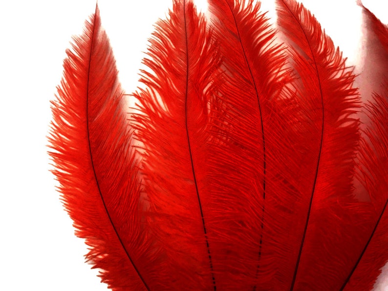 20 Pieces 12-18 Red Mini Ostrich Spads Chick Body Feathers Halloween Costume Centerpiece Ostrich Feathers 3350