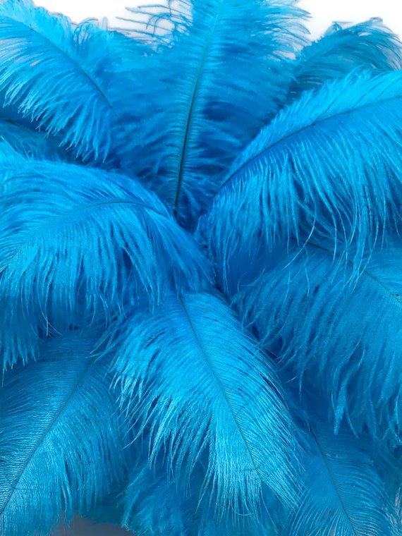 1/2 Lb. 14-17 Turquoise Blue Ostrich Large Body Drab Wholesale
