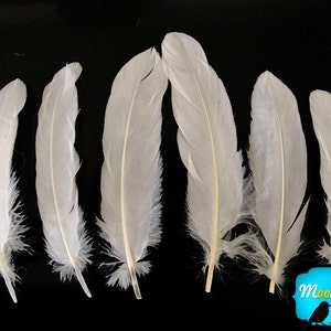 Ivory Goose Feathers, 1 pack Ivory Goose Satinettes Loose feathers 0.3 oz. : 162 image 3
