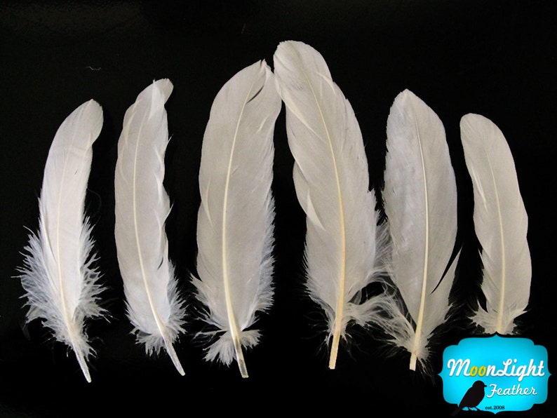 Ivory Goose Feathers, 1 pack Ivory Goose Satinettes Loose feathers 0.3 oz. : 162 image 3