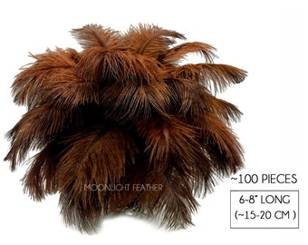 USA Supplier, 100 Pieces - 6-8" Brown Dyed Ostrich Drabs Body Plumage Wholesale Feathers (bulk) Carnival Prom : 1428