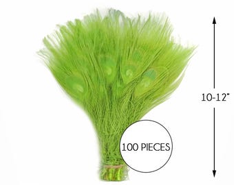 10 Piume Di Fagiano Naturali, 30-35 Cm, Code Maculate, Per Decorazioni, Artigianato, Cappelli E Composizioni Floreali - 2
