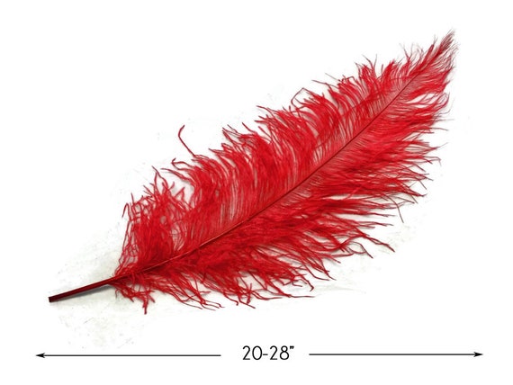 Ostrich Feathers, 10 Pieces 20-28 Red Ostrich Feather Spads Craft Wedding  Centerpiece Supply : 3686 