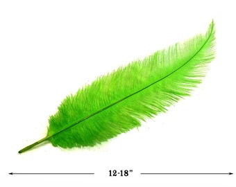 Ostrich Spads, 20 Pieces - 12-18" Lime Green Mini Ostrich Spads Chick Body Feathers Halloween Costume Centerpiece : 3684