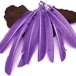 May include: A bunch of purple feathers with white tips, arranged on a piece of wood.