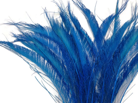 Zucker Feather Products Peacock Swords Bleach Dyed - Kelly
