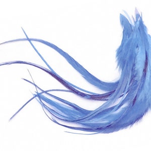 1 Dozen Medium Solid Light Blue Rooster Saddle Whiting Hair Extension Feathers Halloween Summer Craft Supply : 619 image 1