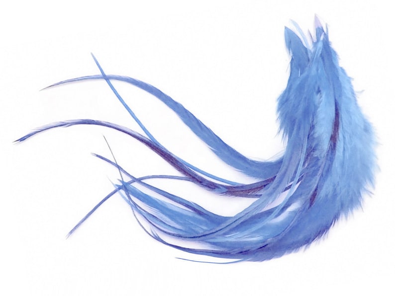 1 Dozen Medium Solid Light Blue Rooster Saddle Whiting Hair Extension Feathers Halloween Summer Craft Supply : 619 image 1