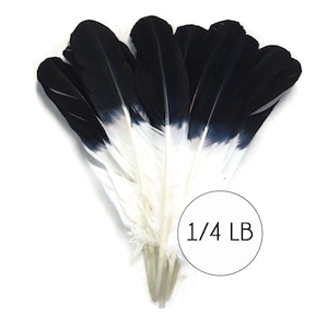 Adler Federn 1 4 Pfund Braun Gekippt Turkei Zeiger Etsy