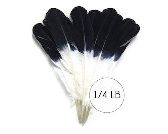 Eagle feathers, 1/4 lbs. - Black Tipped Tom Turkey Rounds Imitation "Eagle" Wholesale Feathers (Bulk) Craft Supply : 2099
