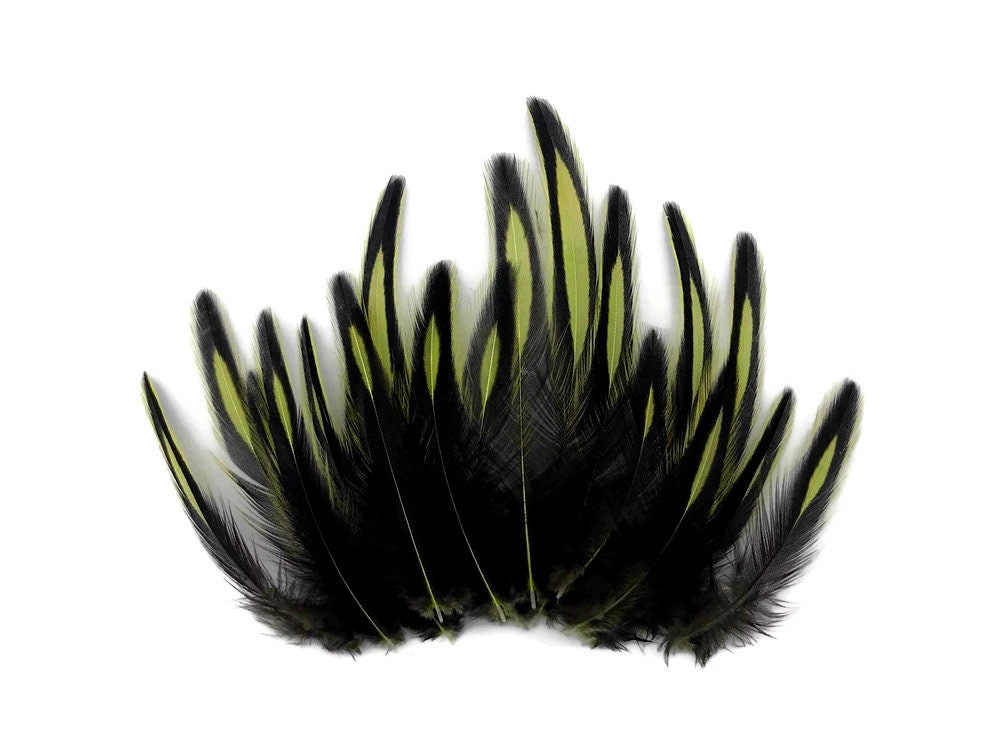 Olive Green Whiting Farms Laced Hen Saddle Feathers Fly Tying Craft 1 Dozen Olive Green Whiting Farms Laced Hen Saddle Feathers Fly Tying Craft 1 Dozen