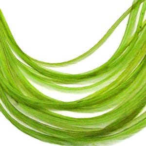 VENDEDOR DE EE. UU., 6 piezas - XL Verde Lima Sólido Extra Largo Fino Extensión de Pelo de Gallo de Whiting Farms Pluma para Atar Moscas de Verano: 208 imagen 5