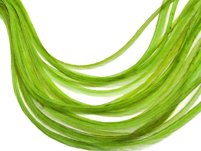 VENDEDOR DE EE. UU., 6 piezas - XL Verde Lima Sólido Extra Largo Fino Extensión de Pelo de Gallo de Whiting Farms Pluma para Atar Moscas de Verano: 208 imagen 5