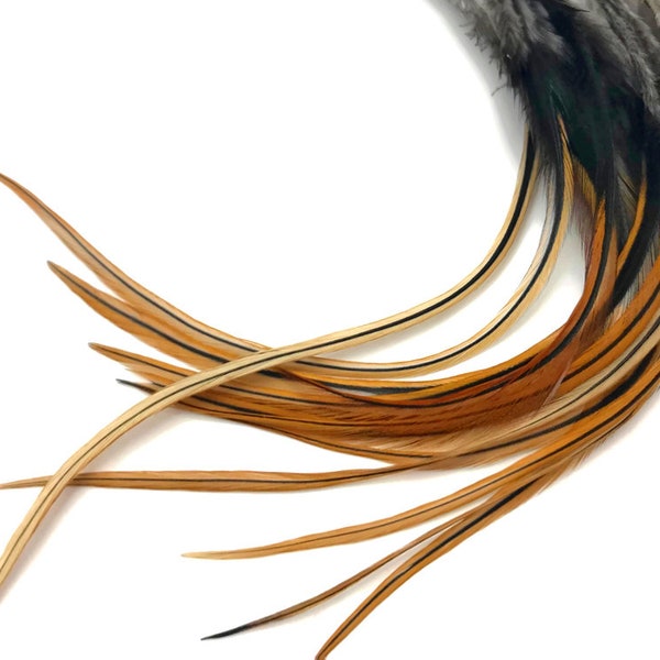 Rooster Feathers, 1 Dozen - Medium Furnace Rooster Saddle Whiting Hair Extension Feathers : 454