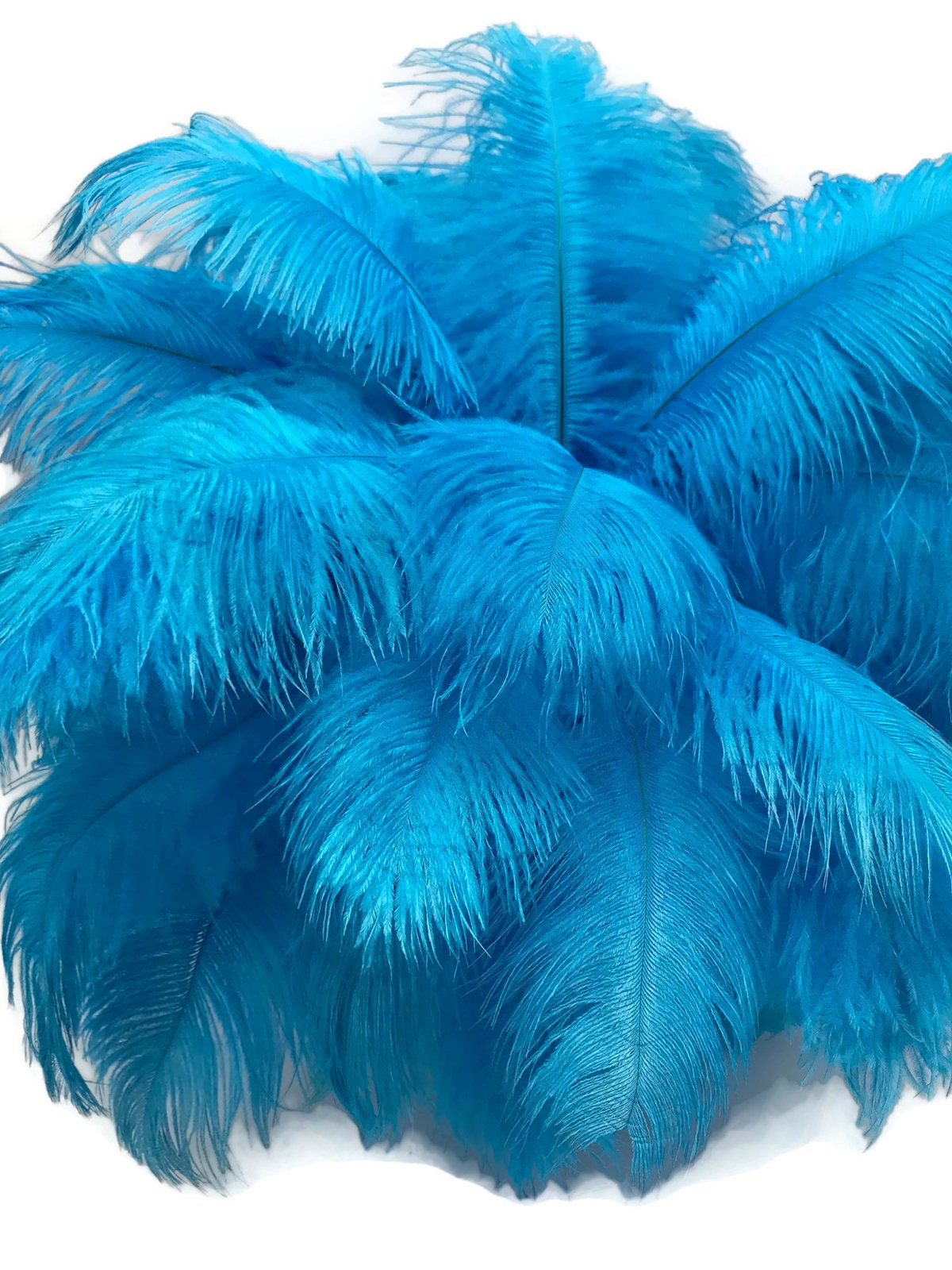 100 Pcs Natural Ostrich Feathers Bulk 8-10 Inch/ 20-25 cm Large Ostrich  Feathers Plumes for Crafts Home Decoration Wedding Party Vase Decor