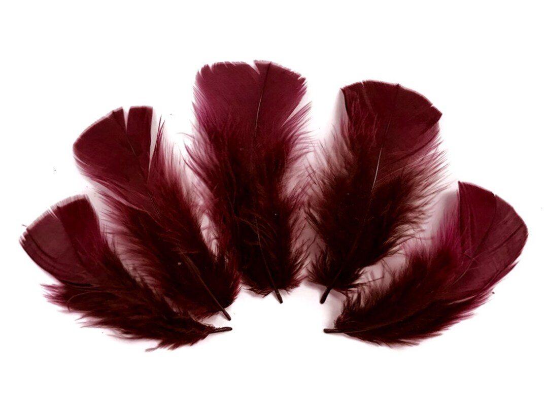 Buy Feathers 1/4 Lbs. Burgundy Dyed Turkey Tbase Body Etsy