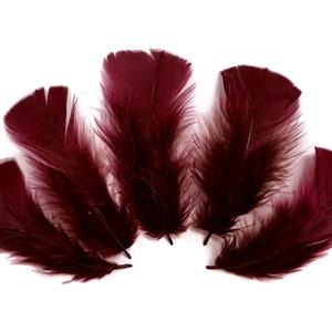 Natural Pheasant Plumage Feathers / For Thanksgiving Crafts - Temu