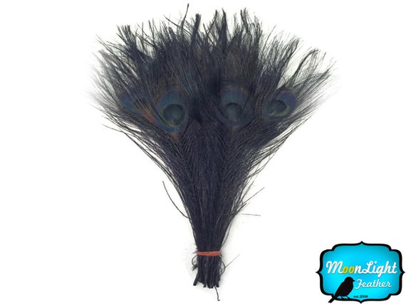 100 piezas Gris Natural Chinchila coque plumas