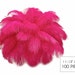see more listings in the Ostrich Feathers section
