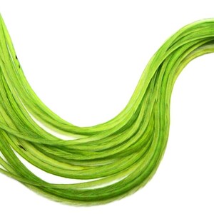 VENDEDOR DE EE. UU., 6 piezas - XL Verde Lima Sólido Extra Largo Fino Extensión de Pelo de Gallo de Whiting Farms Pluma para Atar Moscas de Verano: 208 imagen 2