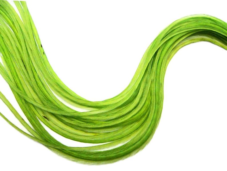 VENDEDOR DE EE. UU., 6 piezas - XL Verde Lima Sólido Extra Largo Fino Extensión de Pelo de Gallo de Whiting Farms Pluma para Atar Moscas de Verano: 208 imagen 2