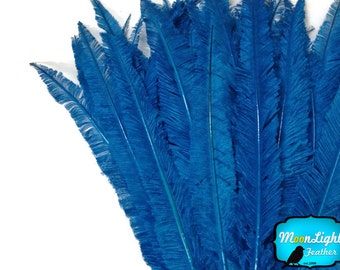 Centerpiece Feathers, 5 Pieces - TURQUOISE BLUE Long Ostrich Nandu Trimmed Feathers : 3584