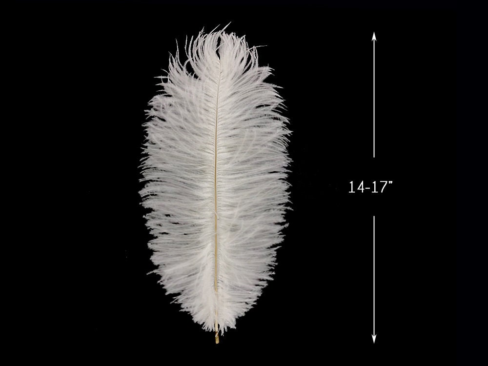 Pluma de Avestruz 1ª Calidad (44cm a 50cm) 6uds.