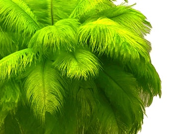 200 Feathers - 9-13" Lime Green Ostrich Drab Body Plumage Wholesale Feathers (Bulk) Carnival Party Centerpiece : 2095-D