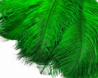 USA Feathers, 10 Pieces - 6-8" Kelly Green Ostrich Dyed Drabs Body Plumage Feathers Craft Supplier : 1370