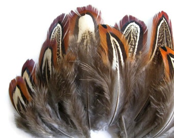 1 Pack - Natural Brown Almond Ringneck Pheasant Plumage Feathers 0.10 Oz. Fly Tying Craft Supply : 300