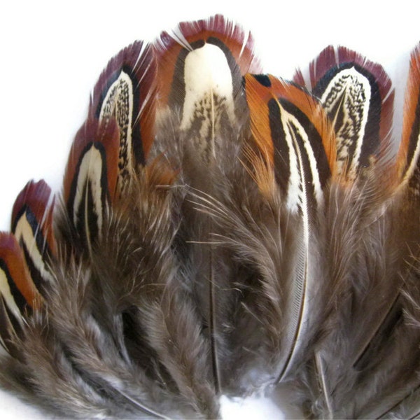 1 paquet de plumes de plumage de faisan à collier d'amande brun naturel 0,10 oz. Fourniture d'artisanat de montage de mouches : 300