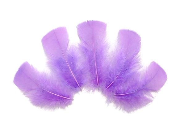 1 Pack - Purple Dyed Turkey T-Base triangle Body Plumage Feathers 0.50 Oz.