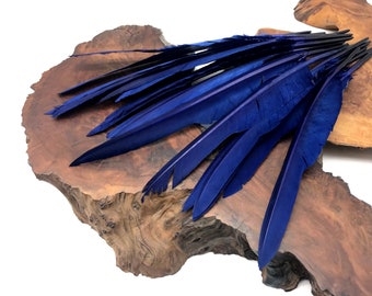 Wing Feathers, 1/4 Lb. - Navy Blue Goose Pointers Long Primaries Wing Wholesale Feathers (Bulk) : 4920
