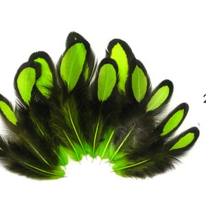 Laced Feathers, 1 Dozen Lime Green Whiting Farms Laced Hen BLW Saddle Feathers Craft Fly Tying Supply : 378 image 5