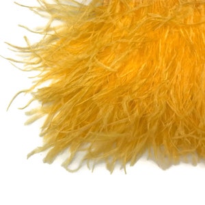 Ostrich Fringe Feathers, 6 Inch Strip Golden Yellow Ostrich Fringe Trim Feather : 3162 image 8