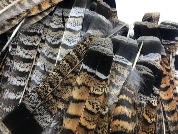 【極美品】UA / FINE FEATHERS MAKE FINE BIRDS FINE FEATHERS MAKE FINE BIRDS - UAのアルバム - Apple Music