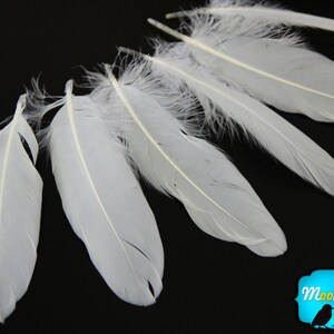 White Goose Feathers, 1/4 lb WHITE Goose Satinettes Wholesale Loose Feathers bulk : 2328 image 1