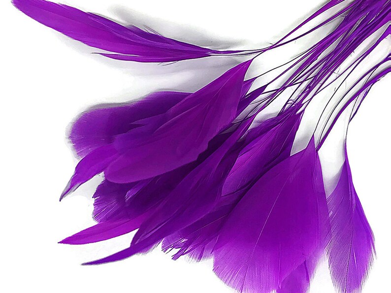 1 Dozen PURPLE Stripped Rooster Coque Tail Feathers Eyelash Feathers 537