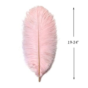 Large Wedding Feathers, 10 Pieces 19 24 Light Pink Ostrich Dyed Drabs ...