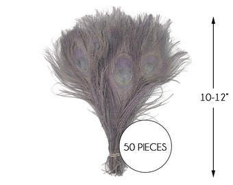 USA SELLER, 50 Pieces – Silver Gray Bleached & Dyed Peacock Tail Eye Wholesale Feathers (Bulk) 10-12” Long Wedding Halloween Supply : 1279